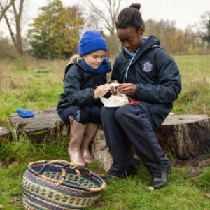 Forest school learnings