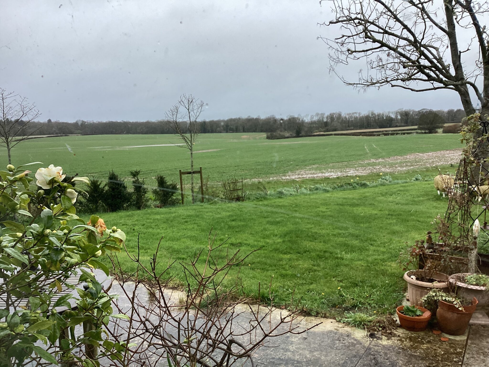 grey day