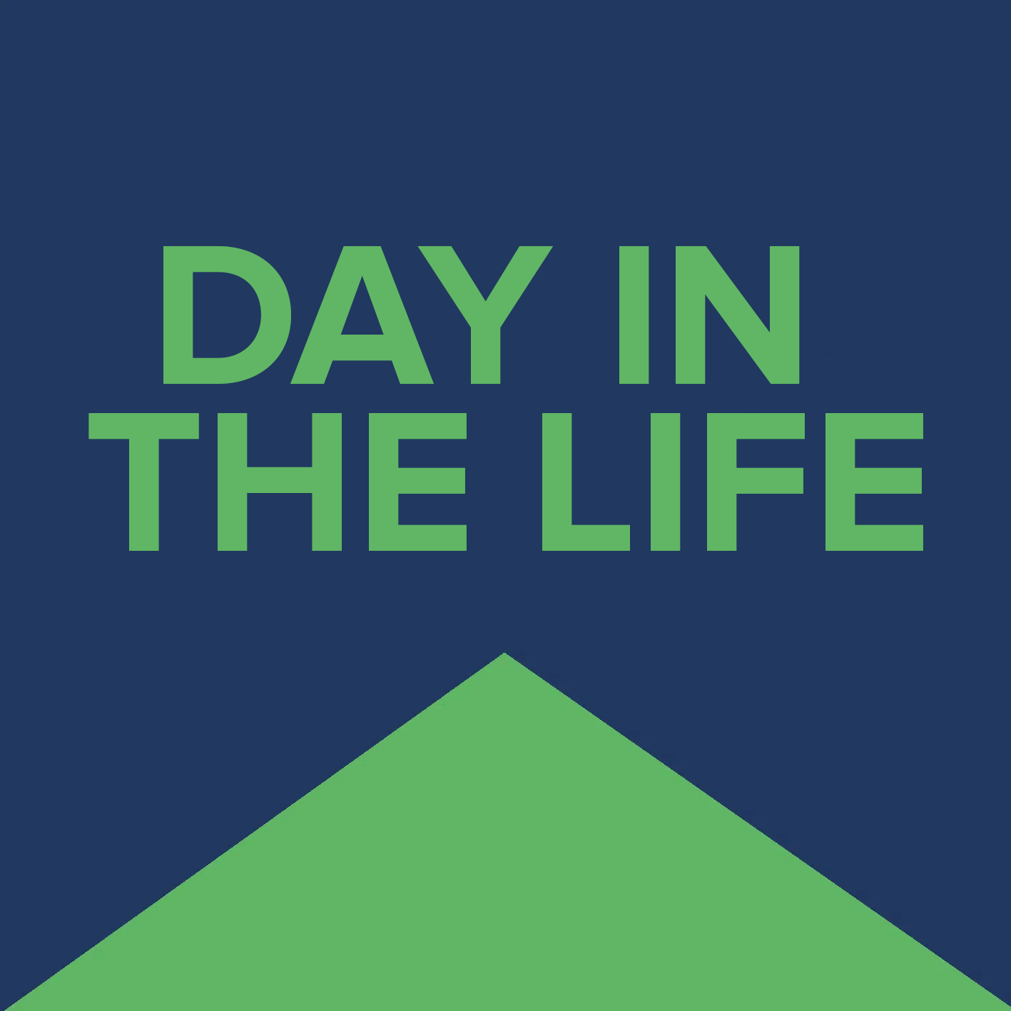 A DAY IN THE LIFE