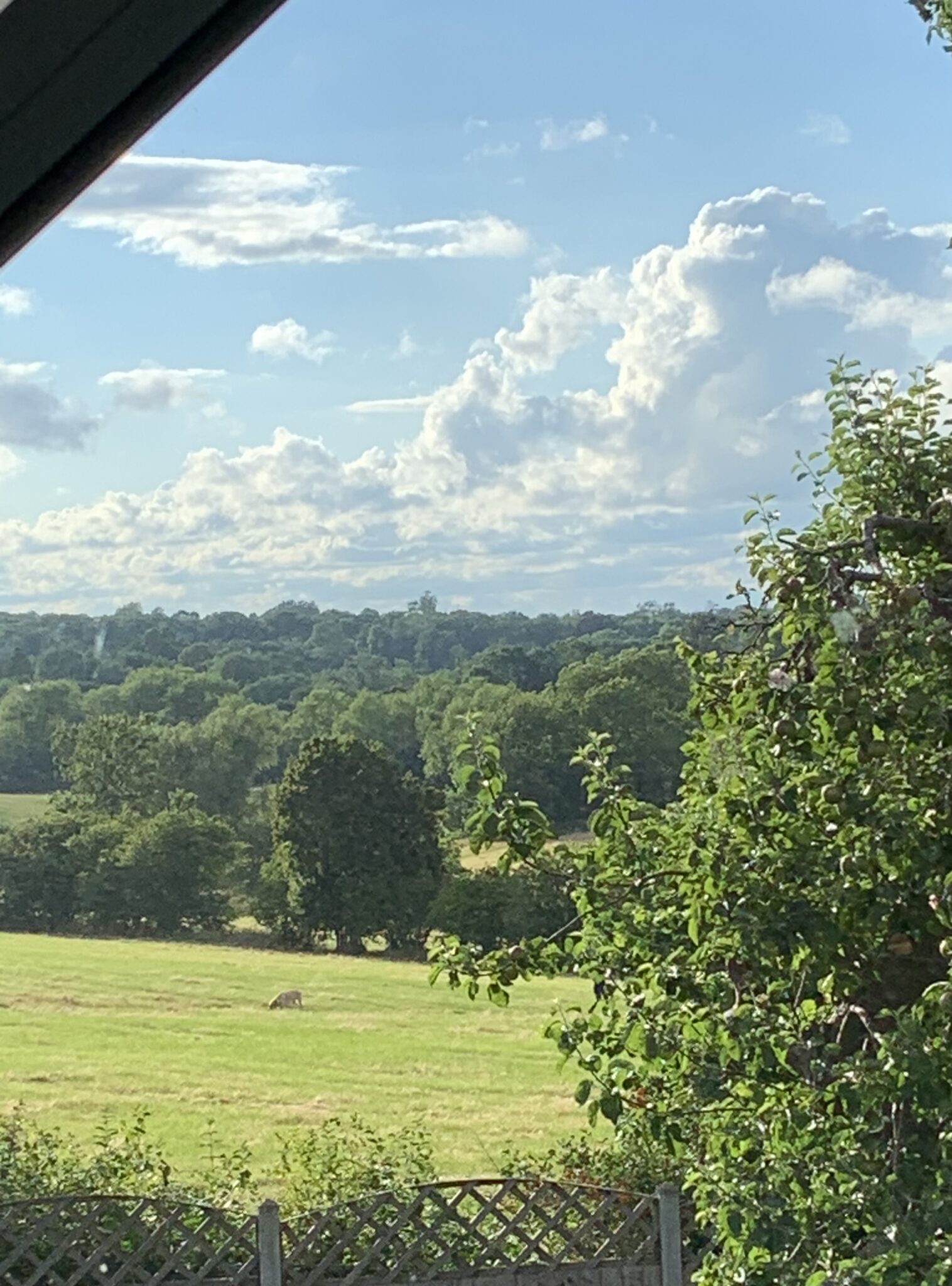 countryside
